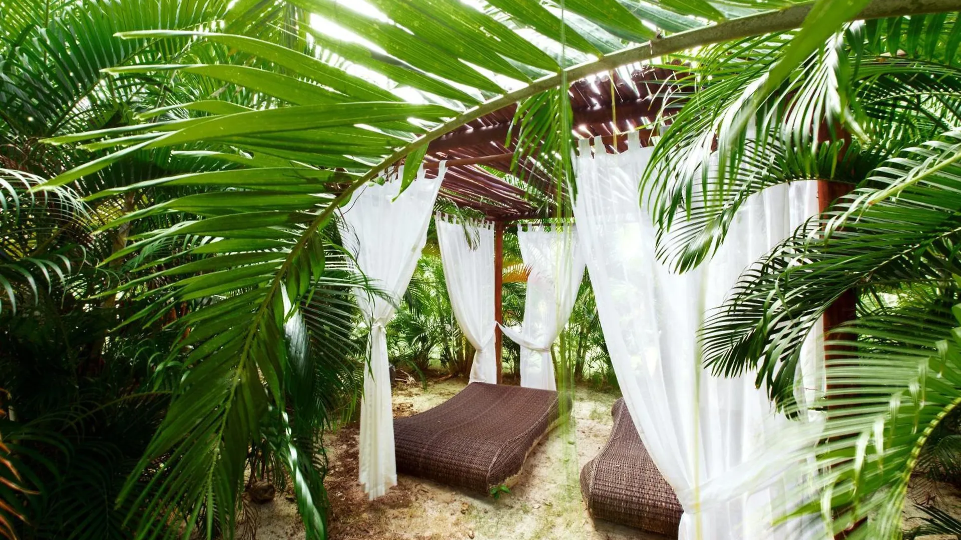 ***** Otel Grand Caribe Suites Punta Cana Dominik Cumhuriyeti